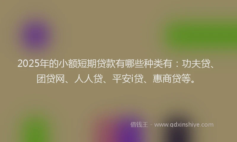 2025年的小额短期贷款有哪些种类有：功夫贷、团贷网、人人贷、平安i贷、惠商贷等。