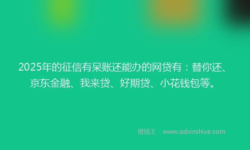 2025年的征信有呆账还能办的网贷有：替你还、京东金融、我来贷、好期贷、小花钱包等。
