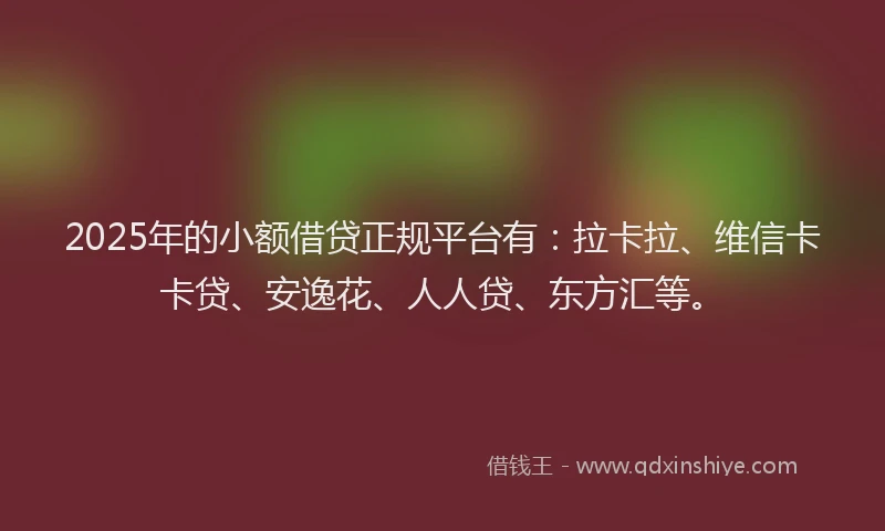 2025年的小额借贷正规平台有：拉卡拉、维信卡卡贷、安逸花、人人贷、东方汇等。