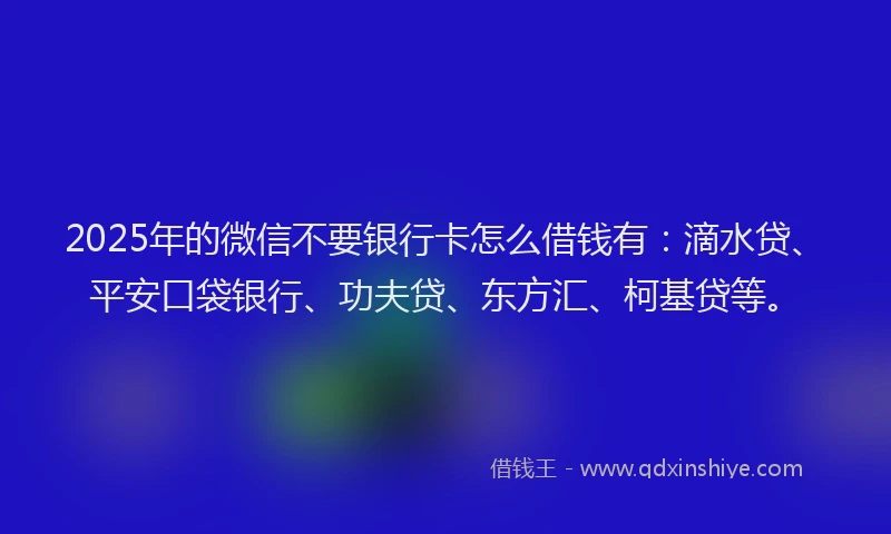 2025年的微信不要银行卡怎么借钱有：滴水贷、平安口袋银行、功夫贷、东方汇、柯基贷等。