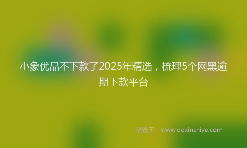 小象优品不下款了2025年精选，梳理5个网黑逾期下款平台