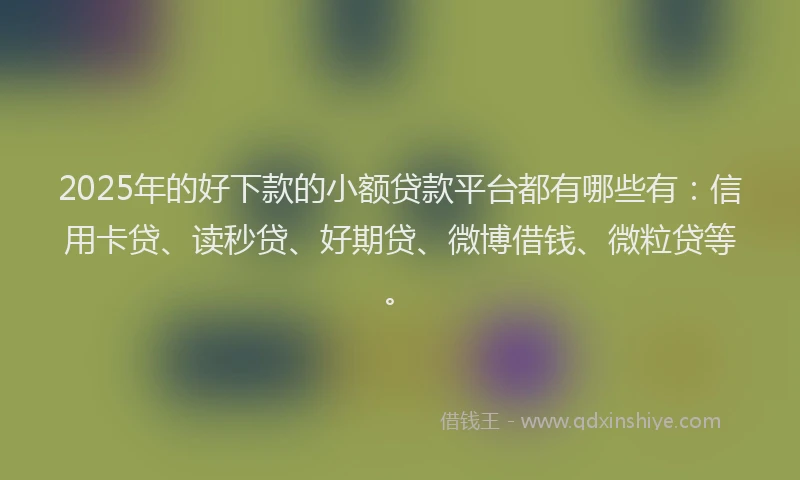 2025年的好下款的小额贷款平台都有哪些有：信用卡贷、读秒贷、好期贷、微博借钱、微粒贷等。