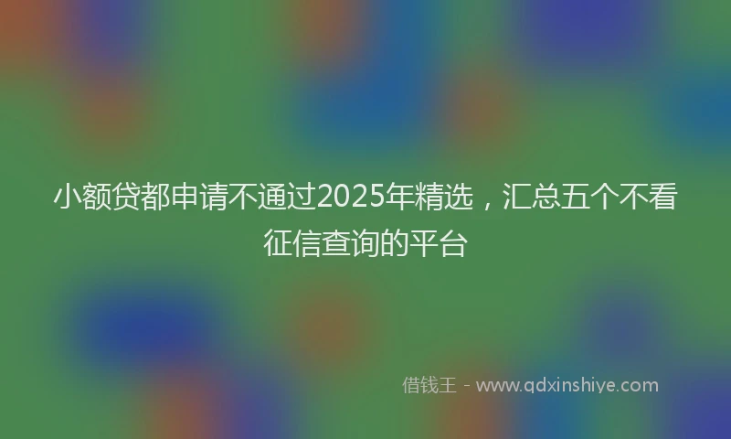 小额贷都申请不通过2025年精选，汇总五个不看征信查询的平台