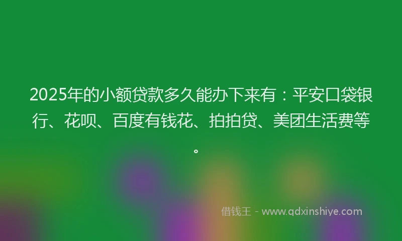 2025年的小额贷款多久能办下来有：平安口袋银行、花呗、百度有钱花、拍拍贷、美团生活费等。