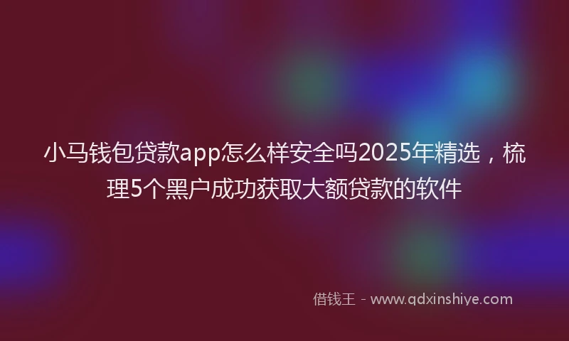 小马钱包贷款app怎么样安全吗2025年精选，梳理5个黑户成功获取大额贷款的软件