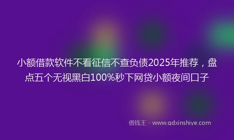 小额借款软件不看征信不查负债2025年推荐，盘点五个无视黑白100%秒下网贷小额夜间口子