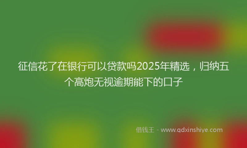 征信花了在银行可以贷款吗2025年精选，归纳五个高炮无视逾期能下的口子
