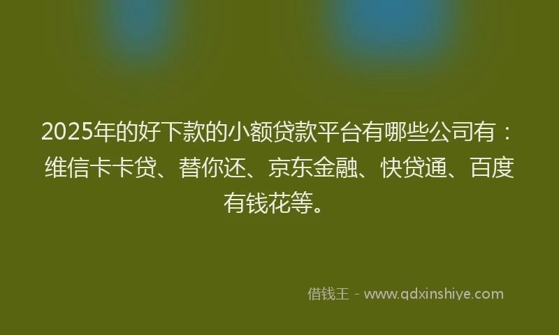 2025年的好下款的小额贷款平台有哪些公司有：维信卡卡贷、替你还、京东金融、快贷通、百度有钱花等。