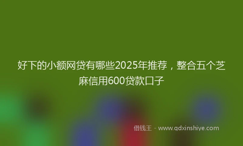 好下的小额网贷有哪些2025年推荐，整合五个芝麻信用600贷款口子