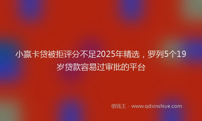 小赢卡贷被拒评分不足2025年精选，罗列5个19岁贷款容易过审批的平台