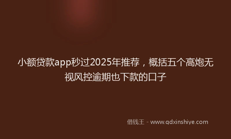 小额贷款app秒过2025年推荐，概括五个高炮无视风控逾期也下款的口子