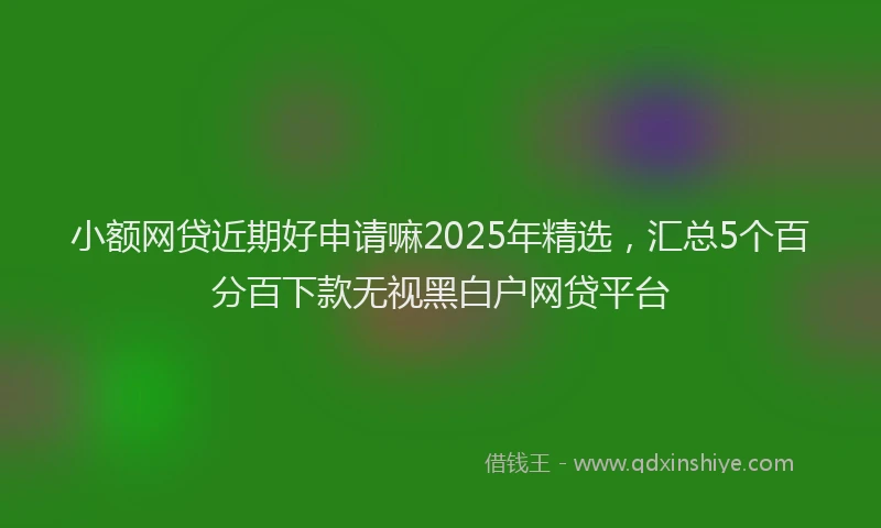小额网贷近期好申请嘛2025年精选，汇总5个百分百下款无视黑白户网贷平台
