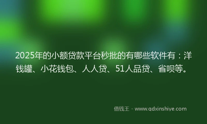2025年的小额贷款平台秒批的有哪些软件有：洋钱罐、小花钱包、人人贷、51人品贷、省呗等。