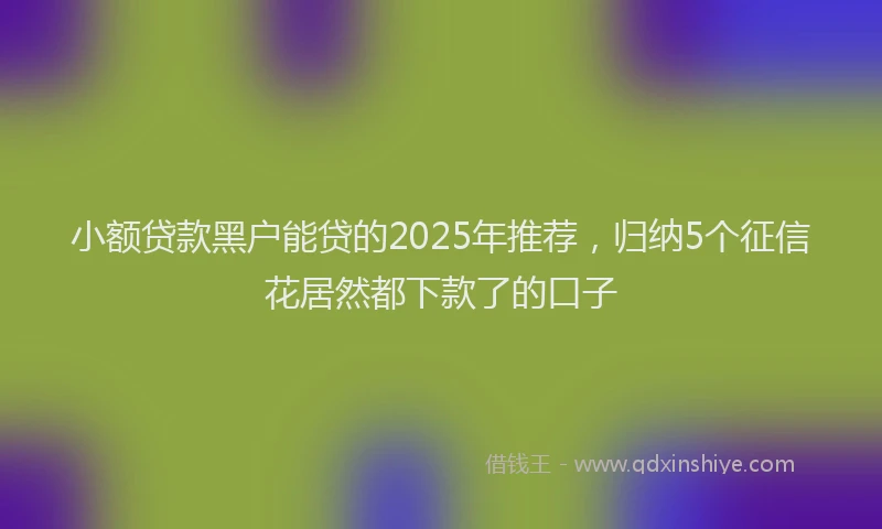 小额贷款黑户能贷的2025年推荐，归纳5个征信花居然都下款了的口子