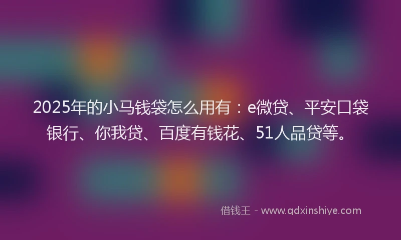 2025年的小马钱袋怎么用有：e微贷、平安口袋银行、你我贷、百度有钱花、51人品贷等。