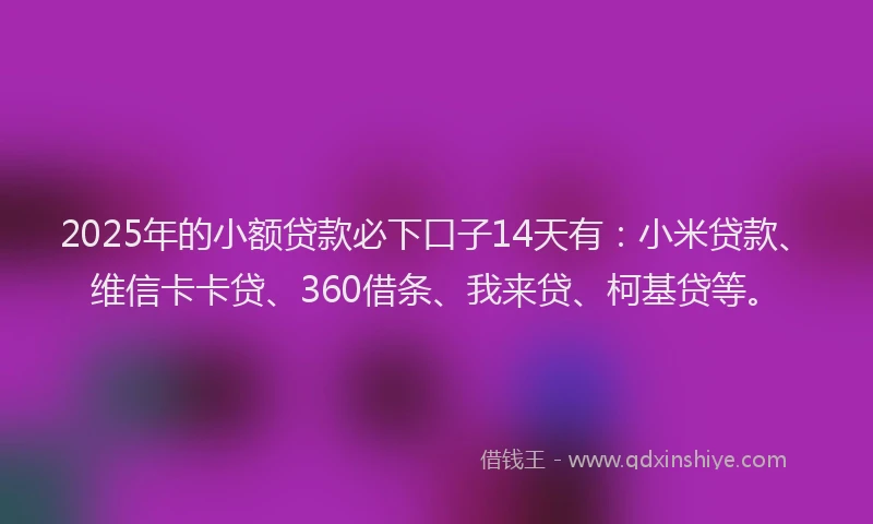 2025年的小额贷款必下口子14天有：小米贷款、维信卡卡贷、360借条、我来贷、柯基贷等。