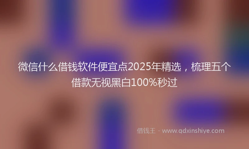 微信什么借钱软件便宜点2025年精选，梳理五个借款无视黑白100%秒过