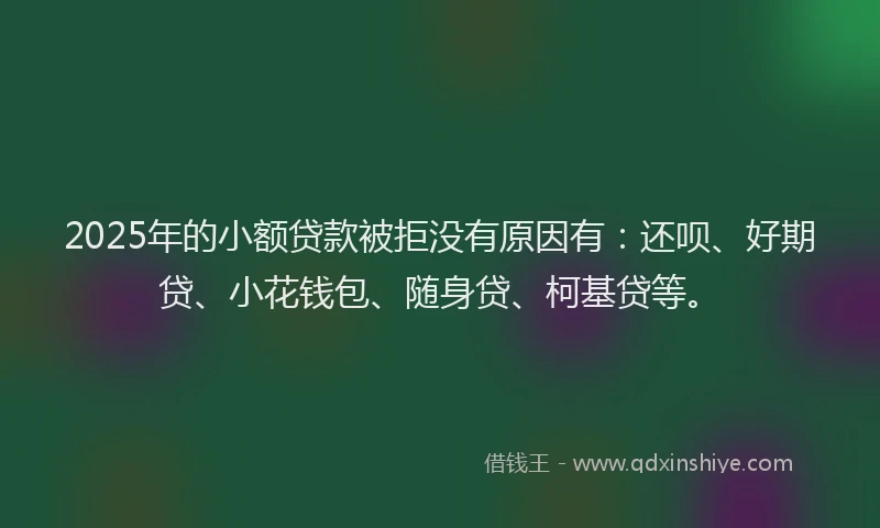 2025年的小额贷款被拒没有原因有：还呗、好期贷、小花钱包、随身贷、柯基贷等。