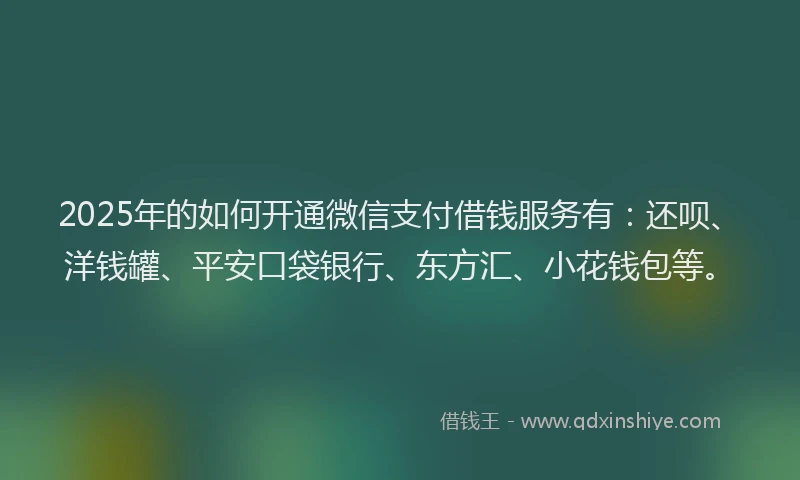 2025年的如何开通微信支付借钱服务有：还呗、洋钱罐、平安口袋银行、东方汇、小花钱包等。