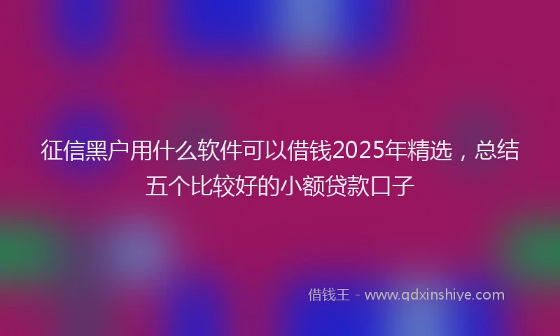 征信黑户用什么软件可以借钱2025年精选，总结五个比较好的小额贷款口子