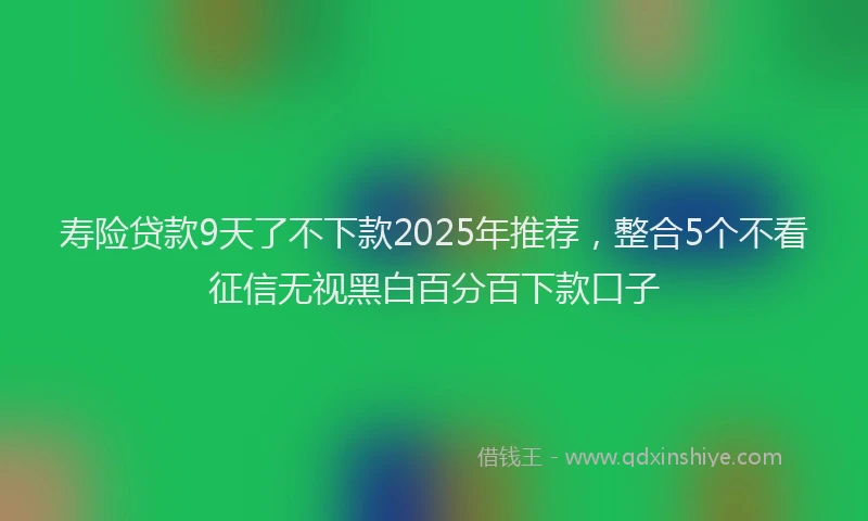 寿险贷款9天了不下款2025年推荐，整合5个不看征信无视黑白百分百下款口子