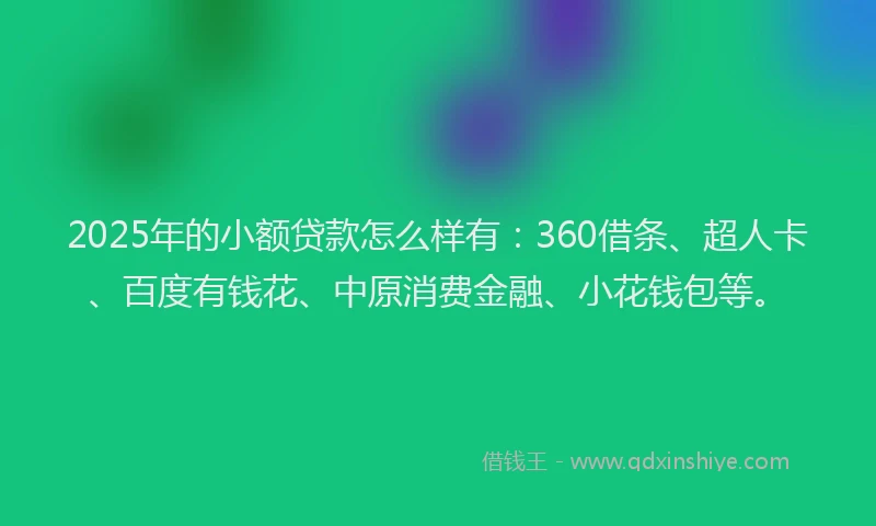 2025年的小额贷款怎么样有：360借条、超人卡、百度有钱花、中原消费金融、小花钱包等。