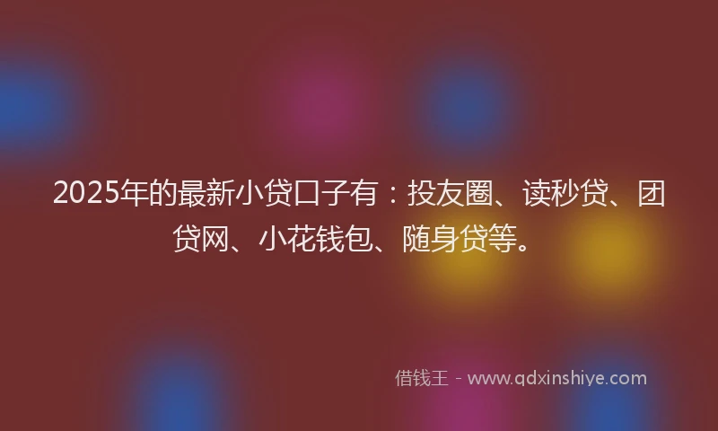 2025年的最新小贷口子有：投友圈、读秒贷、团贷网、小花钱包、随身贷等。