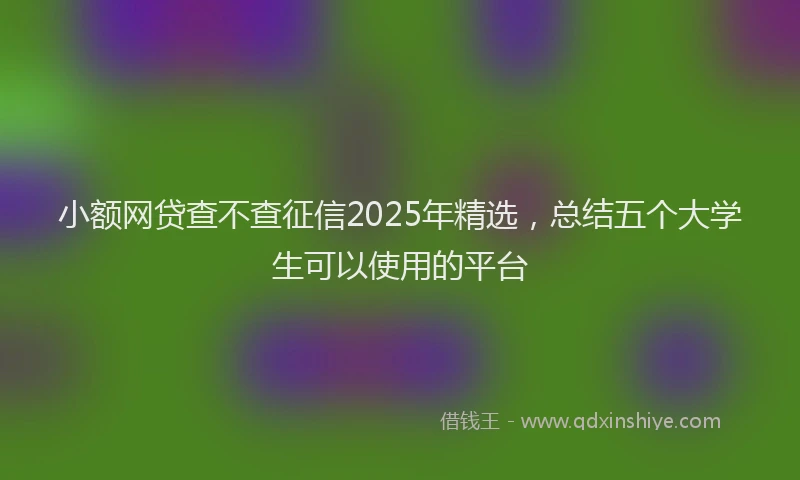 小额网贷查不查征信2025年精选，总结五个大学生可以使用的平台
