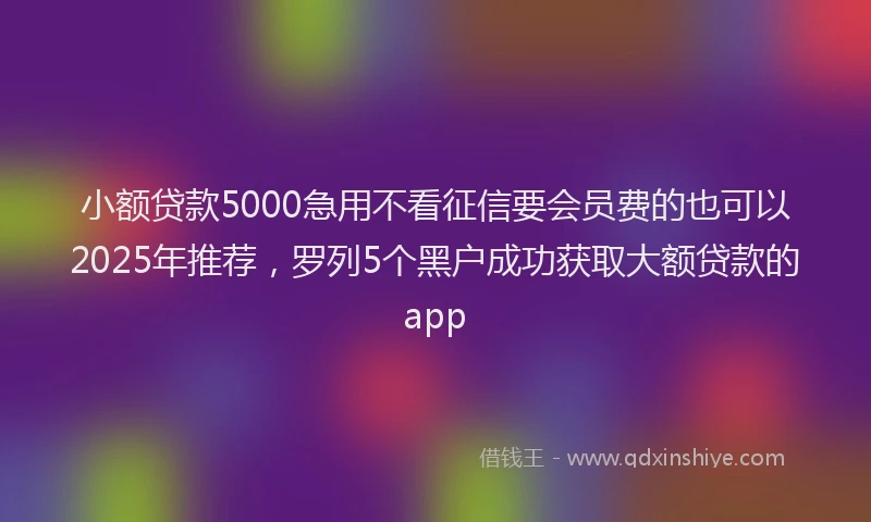 小额贷款5000急用不看征信要会员费的也可以2025年推荐，罗列5个黑户成功获取大额贷款的app
