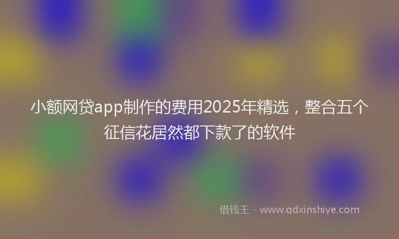 小额网贷app制作的费用2025年精选，整合五个征信花居然都下款了的软件
