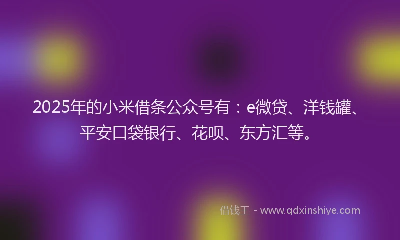 2025年的小米借条公众号有：e微贷、洋钱罐、平安口袋银行、花呗、东方汇等。