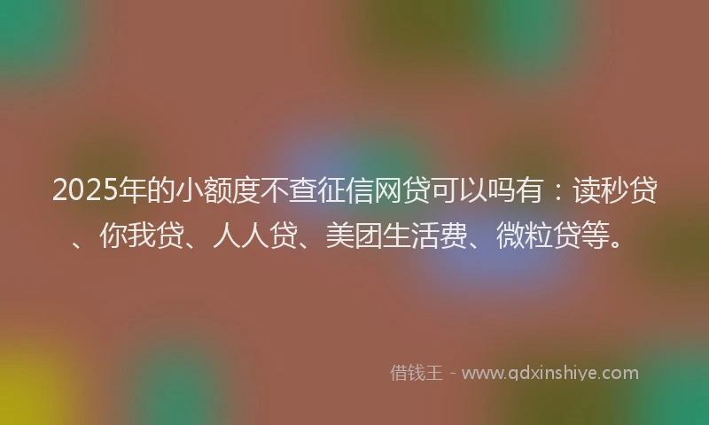 2025年的小额度不查征信网贷可以吗有：读秒贷、你我贷、人人贷、美团生活费、微粒贷等。