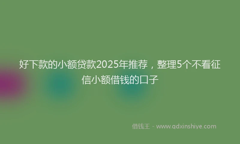 好下款的小额贷款2025年推荐，整理5个不看征信小额借钱的口子