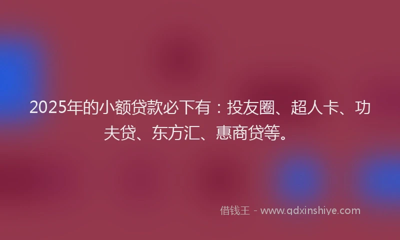 2025年的小额贷款必下有：投友圈、超人卡、功夫贷、东方汇、惠商贷等。