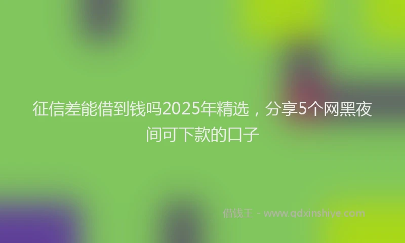 征信差能借到钱吗2025年精选，分享5个网黑夜间可下款的口子