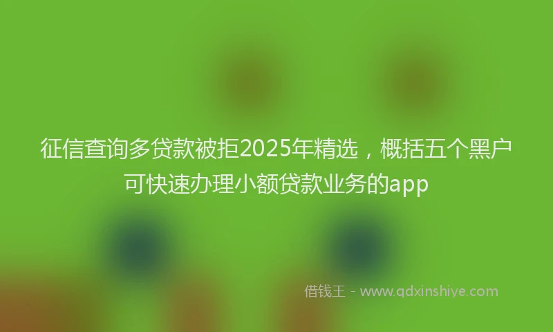 征信查询多贷款被拒2025年精选，概括五个黑户可快速办理小额贷款业务的app