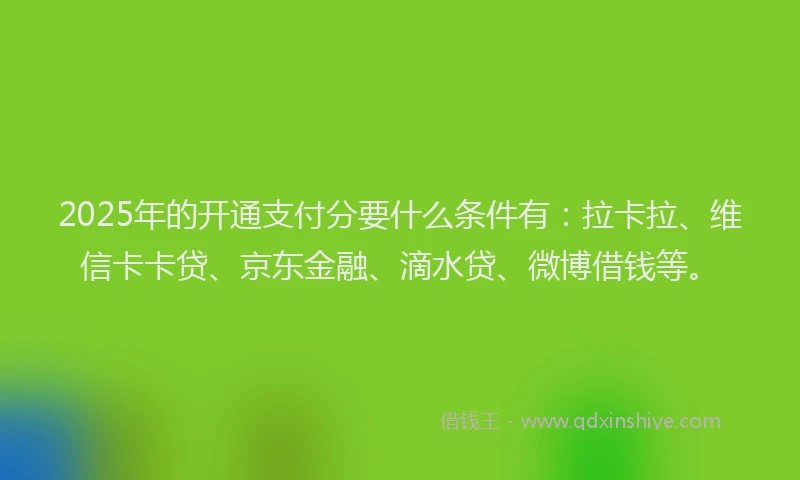 2025年的开通支付分要什么条件有：拉卡拉、维信卡卡贷、京东金融、滴水贷、微博借钱等。