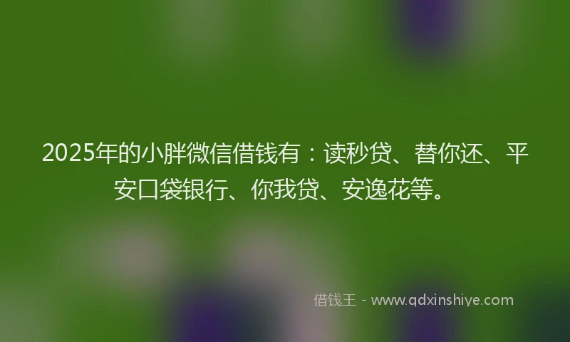 2025年的小胖微信借钱有：读秒贷、替你还、平安口袋银行、你我贷、安逸花等。