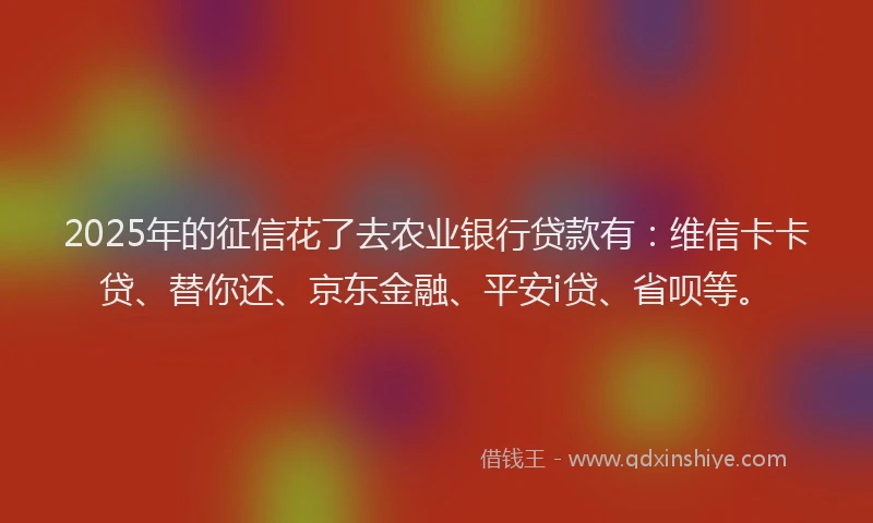2025年的征信花了去农业银行贷款有：维信卡卡贷、替你还、京东金融、平安i贷、省呗等。