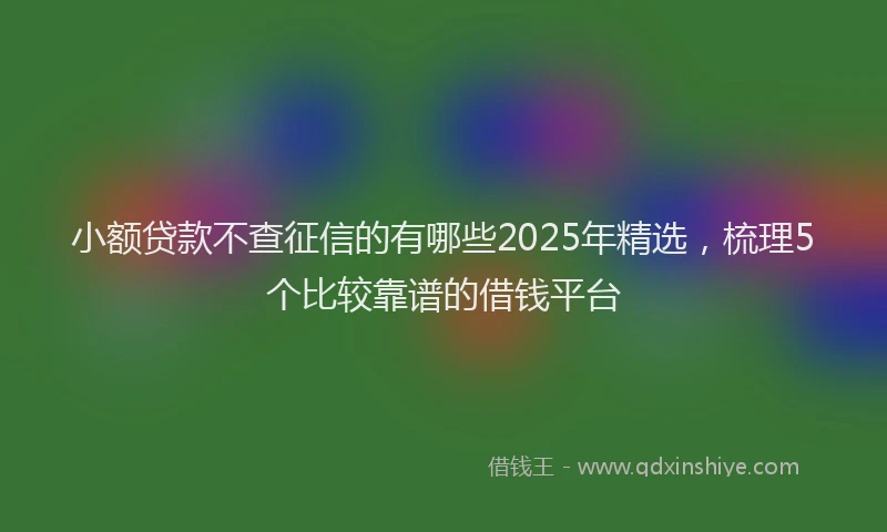 小额贷款不查征信的有哪些2025年精选，梳理5个比较靠谱的借钱平台