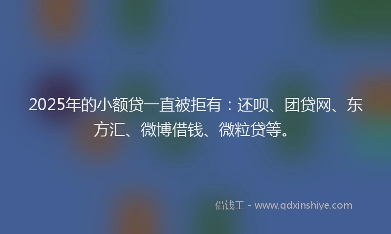 2025年的小额贷一直被拒有：还呗、团贷网、东方汇、微博借钱、微粒贷等。