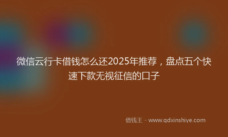 微信云行卡借钱怎么还2025年推荐，盘点五个快速下款无视征信的口子