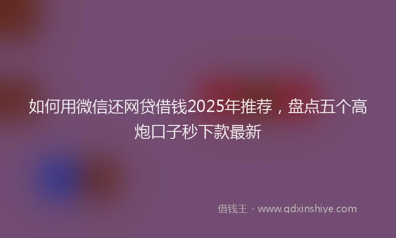 如何用微信还网贷借钱2025年推荐，盘点五个高炮口子秒下款最新