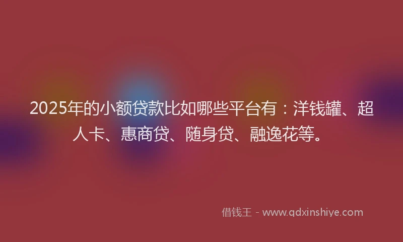 2025年的小额贷款比如哪些平台有：洋钱罐、超人卡、惠商贷、随身贷、融逸花等。