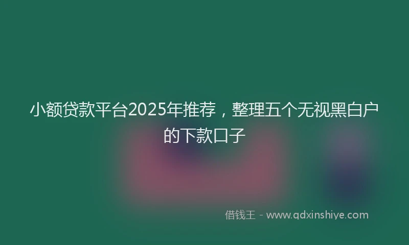 小额贷款平台2025年推荐，整理五个无视黑白户的下款口子