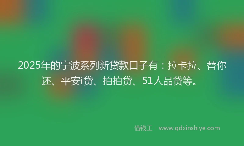 2025年的宁波系列新贷款口子有：拉卡拉、替你还、平安i贷、拍拍贷、51人品贷等。