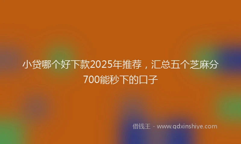 小贷哪个好下款2025年推荐，汇总五个芝麻分700能秒下的口子