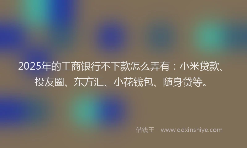 2025年的工商银行不下款怎么弄有：小米贷款、投友圈、东方汇、小花钱包、随身贷等。