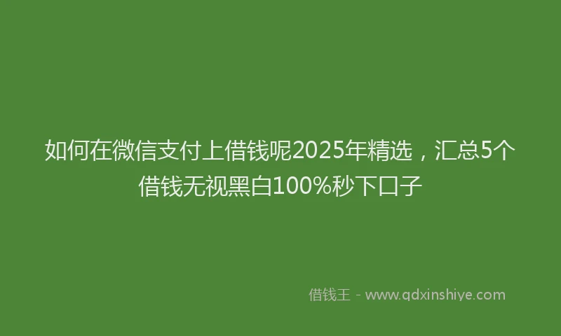 如何在微信支付上借钱呢2025年精选，汇总5个借钱无视黑白100%秒下口子