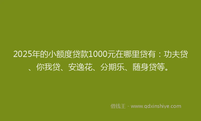 2025年的小额度贷款1000元在哪里贷有：功夫贷、你我贷、安逸花、分期乐、随身贷等。
